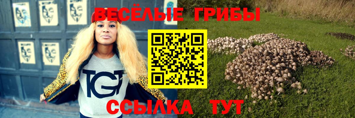 Галлюциногенные грибы ЛСД Барнаул