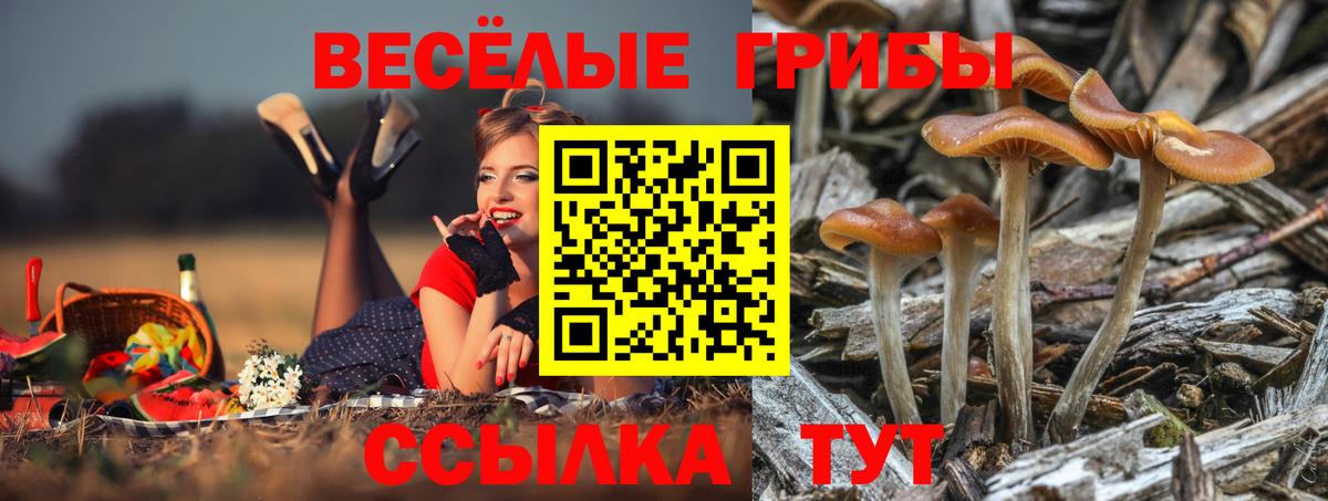 Барнаул  Галлюциногенные грибы ЛСД  Вход с VPN 